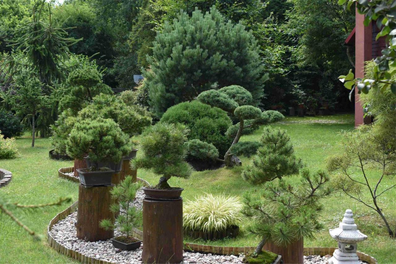 Villa Ogrod Shinrin Yoku à Srokowo Extérieur photo